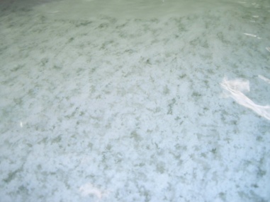 固液分離され、ｐＨが中性を確認